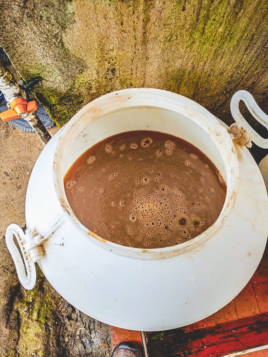 Lemon Coco, From Los Patios, in La Plata – Huila, Colombia. Espresso Roast. 1000g.