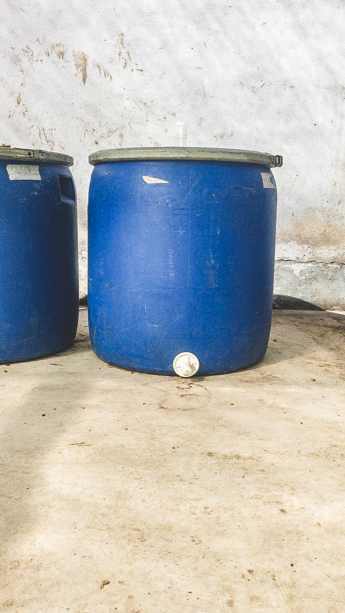 Bright Yellow, From Los Patios, in La Plata – Huila. Peach fermented beans.