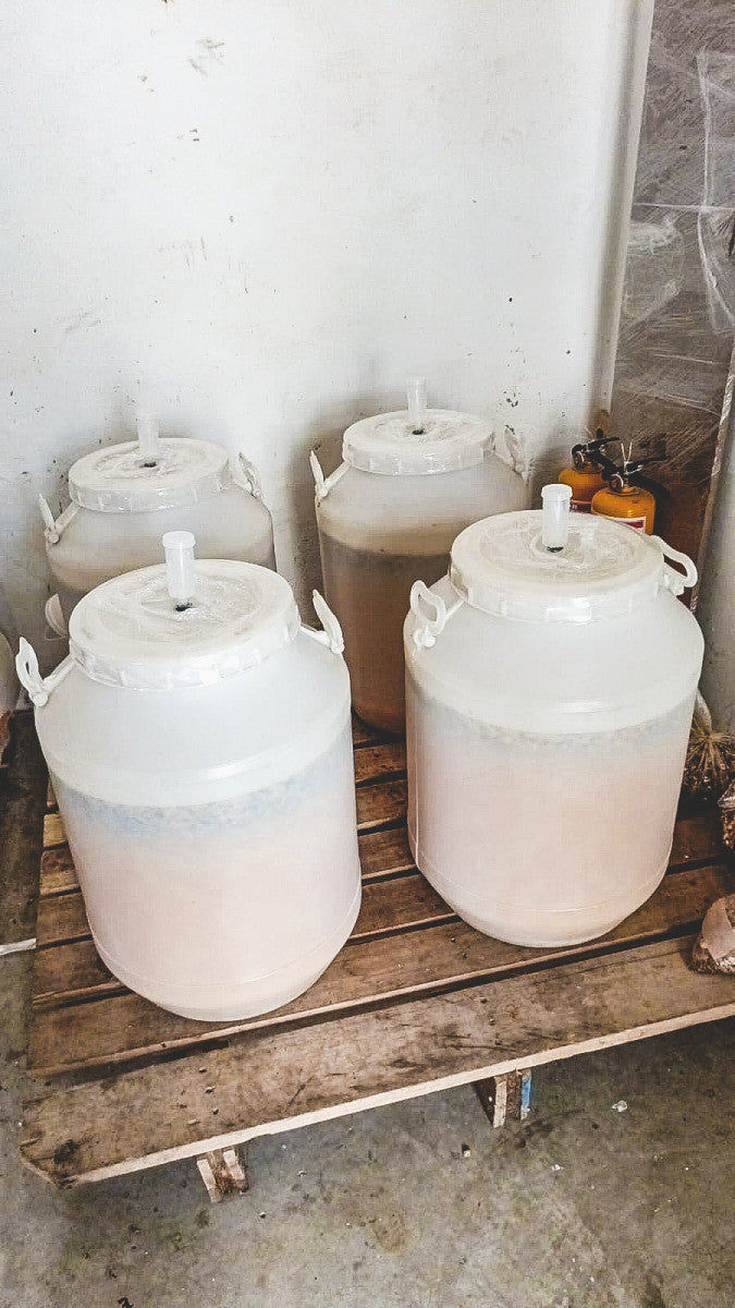 Bright Yellow, From Los Patios, in La Plata – Huila. Peach fermented beans.