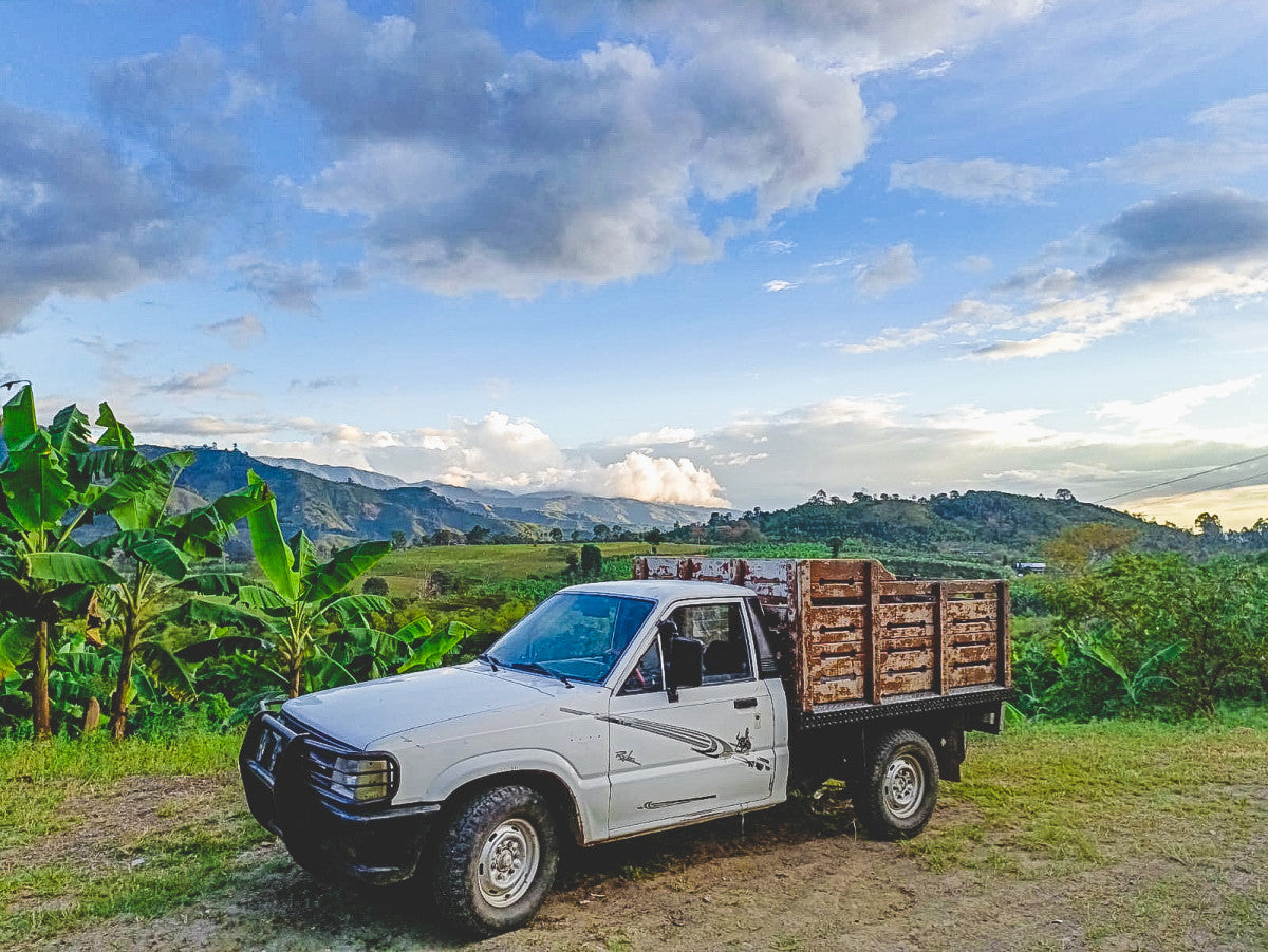 Scarlet, Los Patios in La Plata – Huila, Red Fruits fermentation. 1000G. Espresso Roast.
